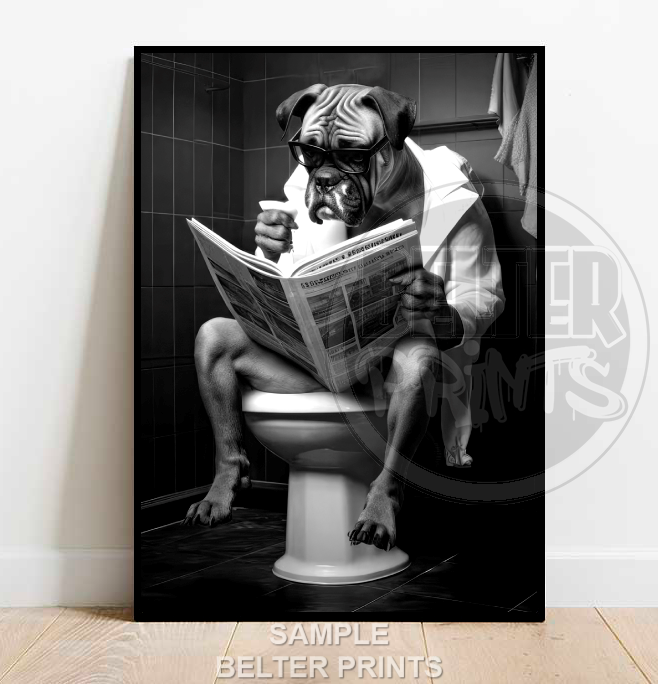 Boxer on the toilet