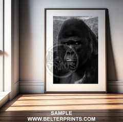 Gorilla Portrait