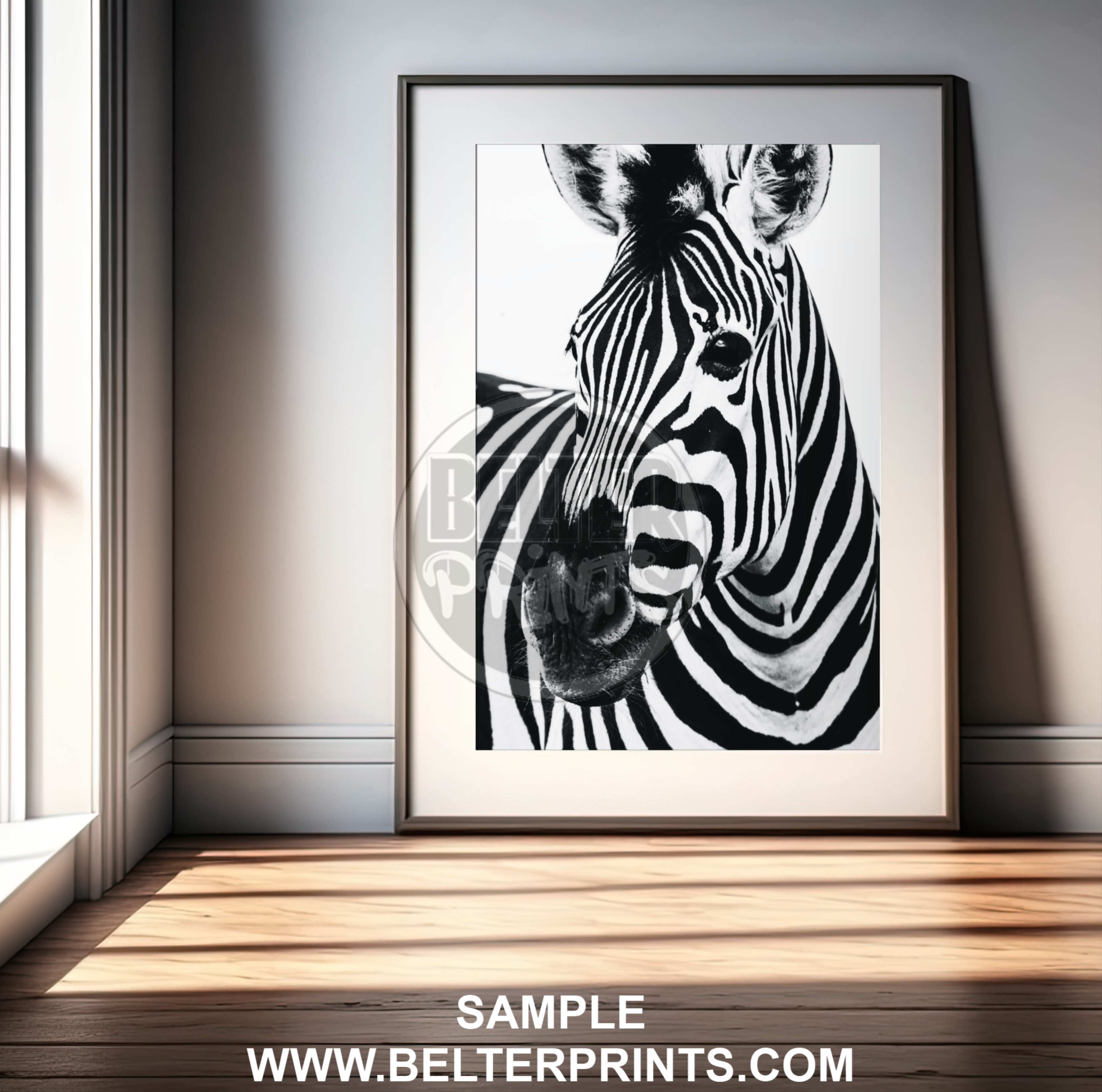 Zebra Portrait