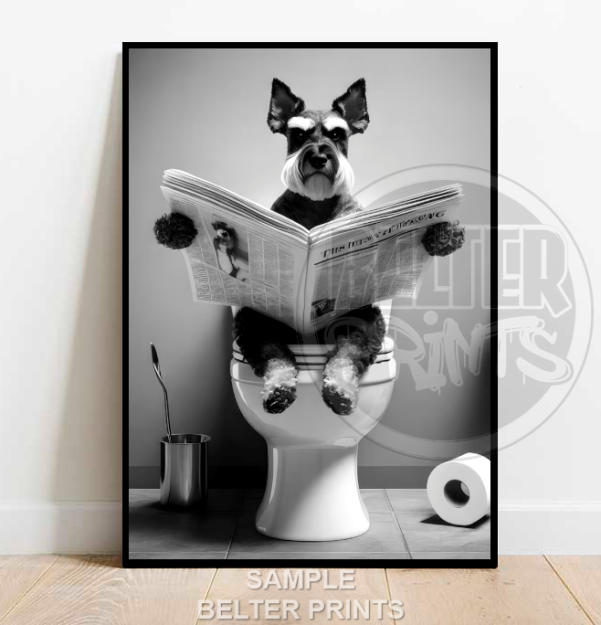 Schnauzer on the toilet