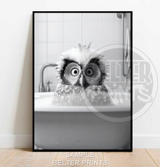 Owl in the bath