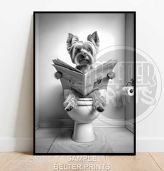 Yorkshire Terrier on the toilet