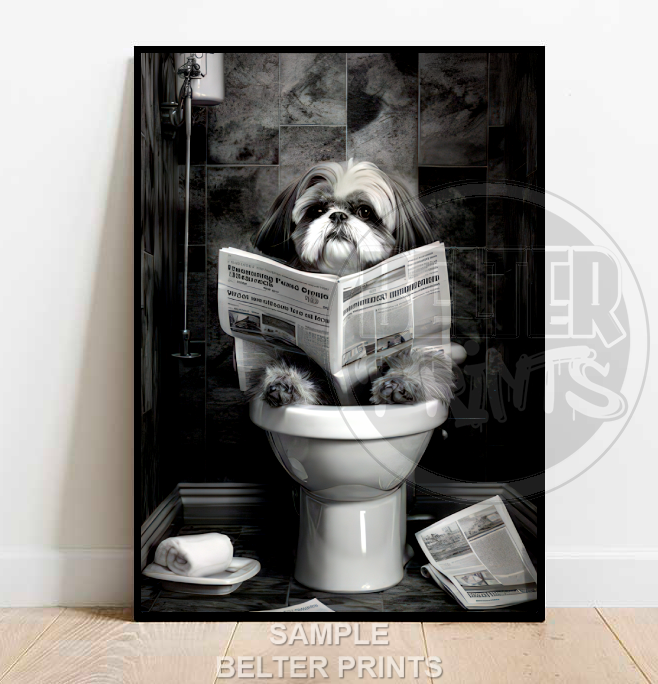 Shih-Tzu on the toilet