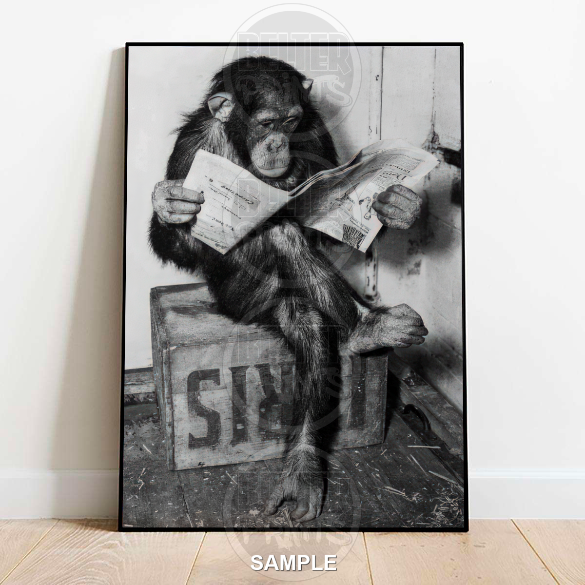 Ape reading paper