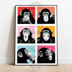 Chimp Expressions