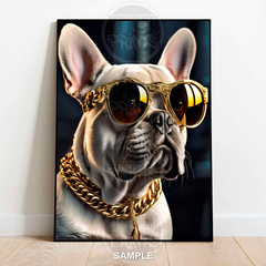 Cool Frenchie