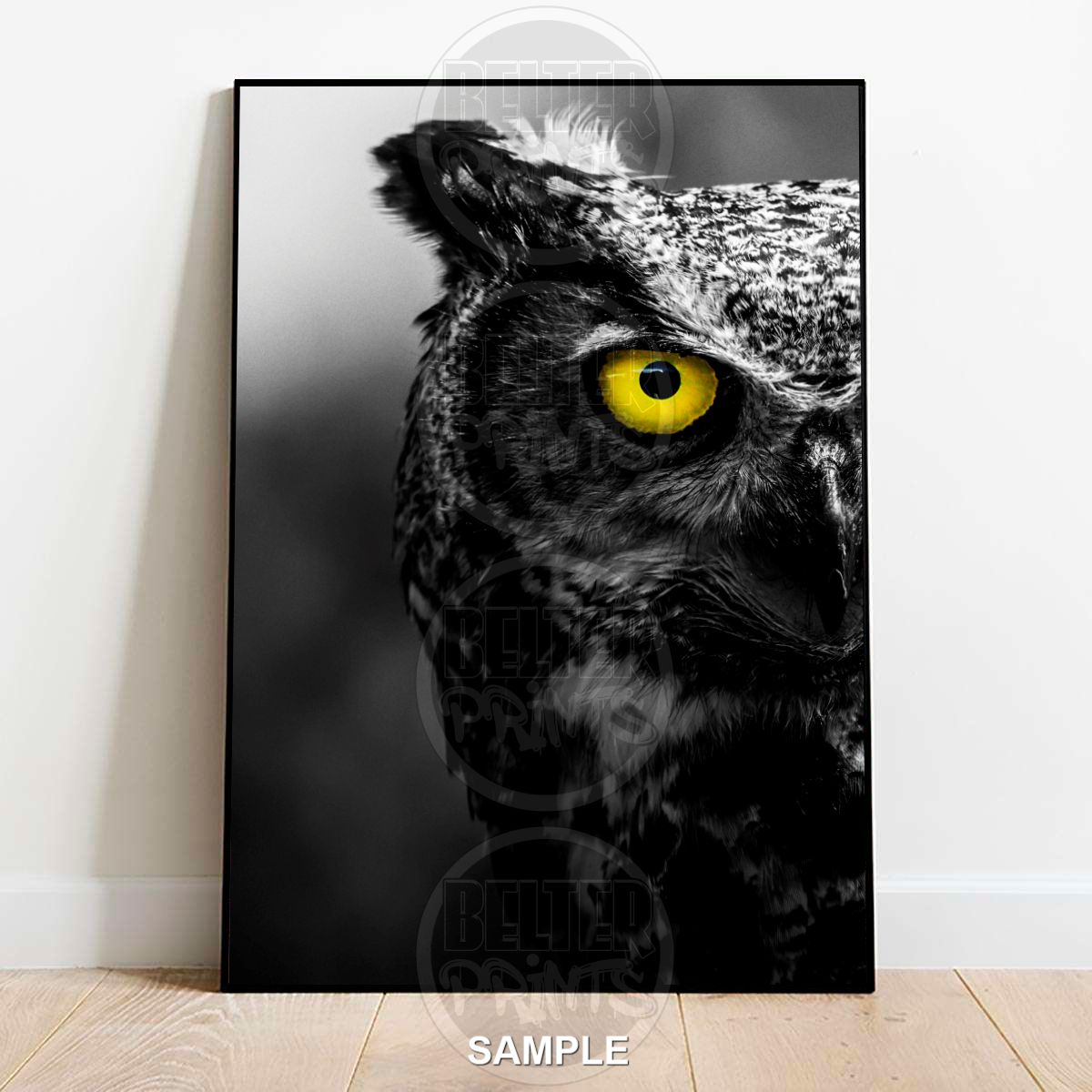 Owl Portrait