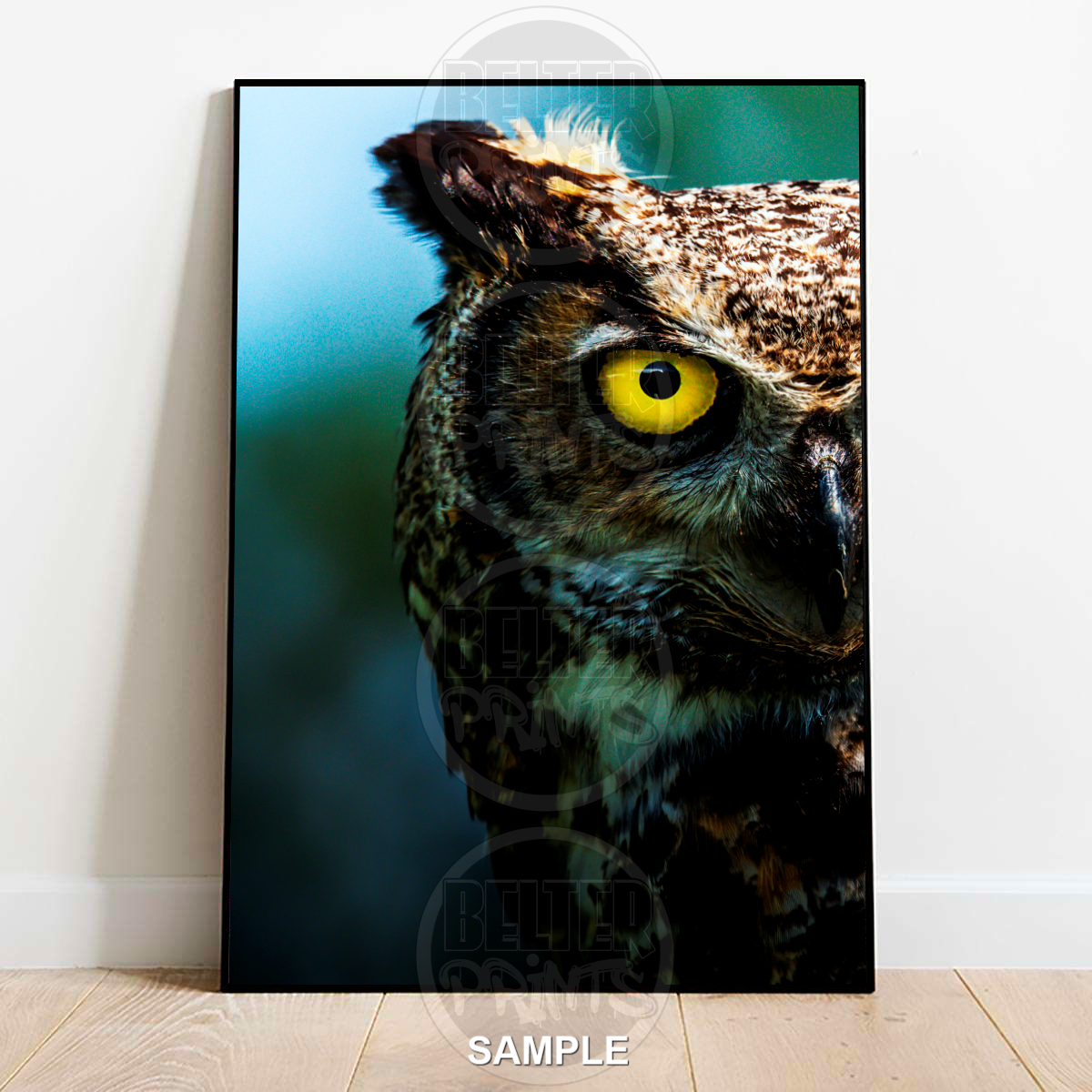 Owl Portrait