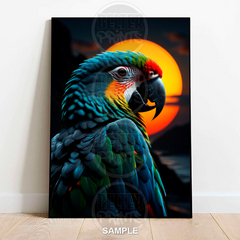 Macaw Parrot